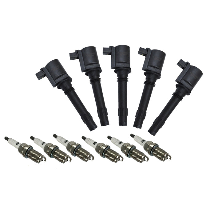 Ford Falcon Fairlane Fairmont Territory Ignition Coils & Spark Plugs 2002-2011 4.0Litre Petrol