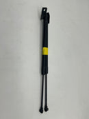 Holden Captiva 7 CG 2011-2018 Tailgate Struts-2