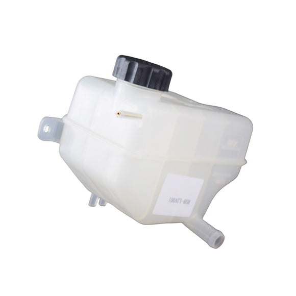 LDV G10 04/2015 - 06/2022 Radiator Coolant Overflow Expansion Bottle 1.9L Diesel