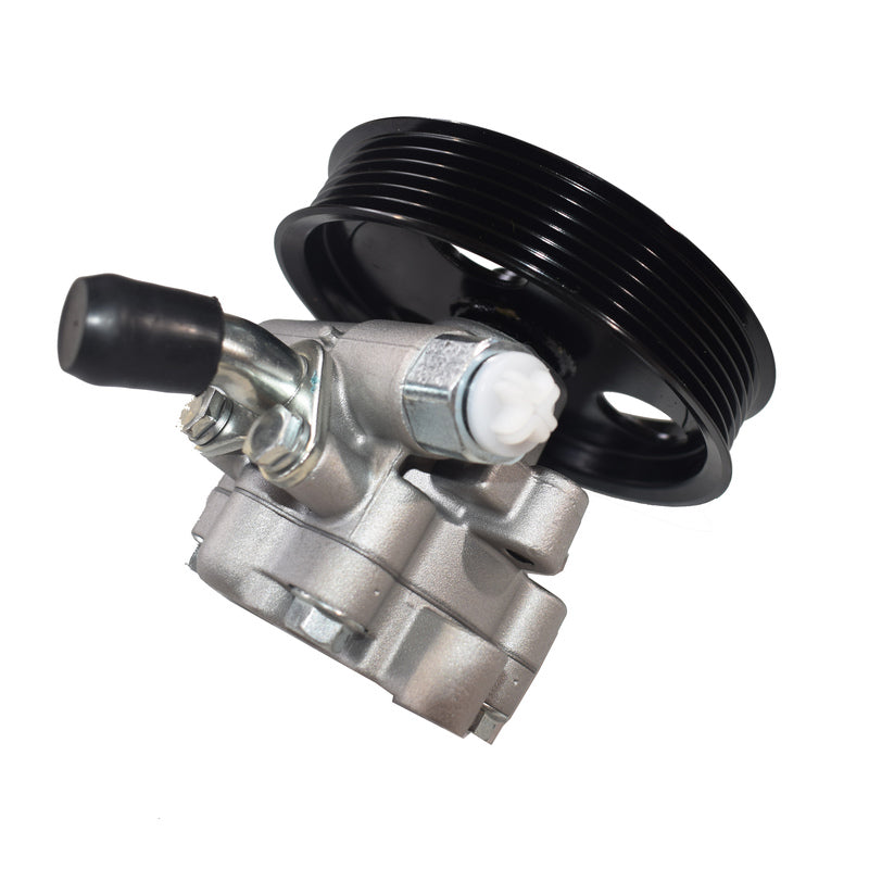 LDV G10 2016-Onwards Power Steering Pump 2.0L Diesel