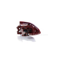 Kia Sportage SUV QL 2018-2021 Tail Light Left Hand Side-2