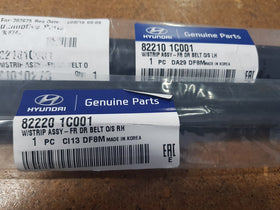 Weather Strips Hyundai Getz TB 2002-2012 5DR Rear Left Hand Side - All AutomotiveParts