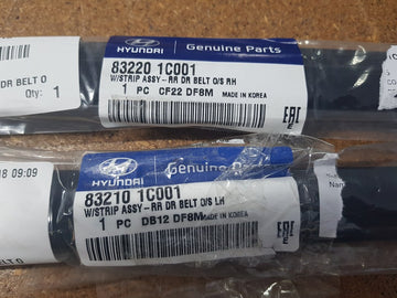 Weather Strips Hyundai Getz TB 2002-2012 5DR Rear Right Hand Side - All AutomotiveParts