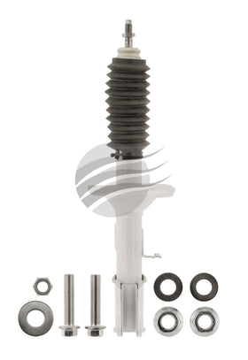 Holden Commodore VR/VS/VT/VX/VY 1993-2004 Front Strut Right Hand Side