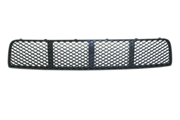 Volkswagen Polo 6N 2000-2002 Front Bumper Bar Insert